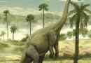 Apatosaur