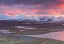 Sarkvidéki tundra