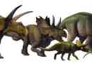 Ceratops - szarvas dinoszauruszok