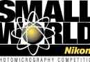 Csodák csodák: 27 fotók - nyertesek nikon small world 2015