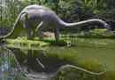 Diplodocus
