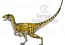 Yutaraptor