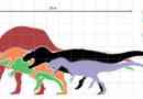 Carcharodontosaur