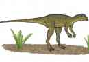 Lesotholar