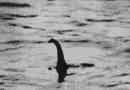 Lochnese monster - survive ploziosaovr vagy mystifikáció