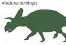Medusaceratops