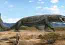 Megalania - az egyszeri meglévő gyík-óriás a földön