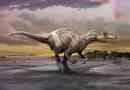 Megaraptor
