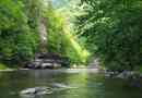 Nature sakhalin