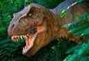 Tyrannosaur