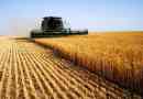Top agro vállalatok ukrajna