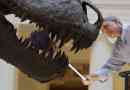 Japánban egy óriási tyrantosaurus maradványait találták