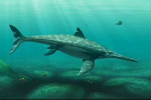 Dinosaur ichthyozavr