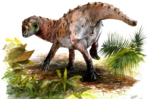 Ferganocephal