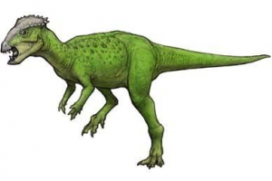 Goyocephal