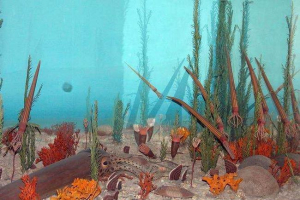 A paleozoikus korszak jellemzői és időszakai