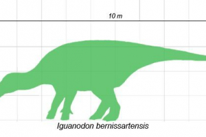 Iguanodon