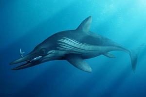 Ichthyosaur Ichthyosaur