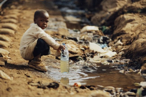 Afrika ökológiai problémái