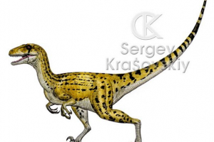 Yutaraptor