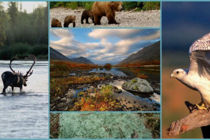 Lapland reserve: ragyogó gleccser