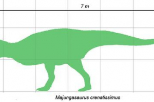 Mayungasavr