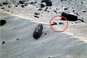 Mars észlelt garnélarák és skorpió Mars észlelt garnélarák és skorpió