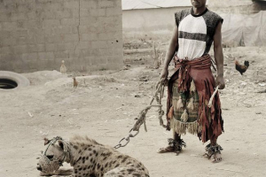 Szokatlan háziállatok afrikaiak