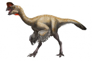 Oviraptor