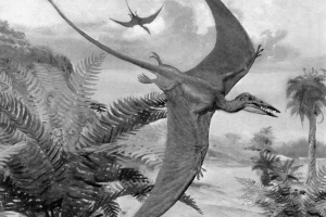 A paleontológusok felfedezték a mini-pterosaur-t