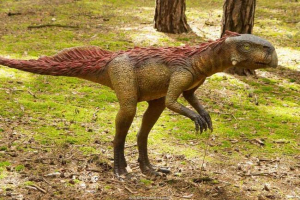 A ház lépcsője kínában talált csontokat és tojást dinoszaurusz