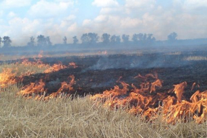 Az időjárás-anomáliák veszélyeztetik az agrárokat Az időjárás-anomáliák veszélyeztetik az agrárokat