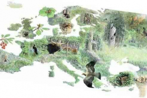 Európa természete Európa természete
