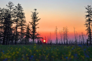Yakutia természete Yakutia természete