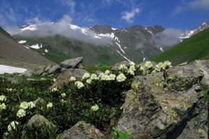 Természet észak-oszétia