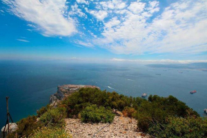 Straits and bulips afrika - list, leírás és térkép