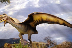 Pterodactiloids - a légtér első erősítése