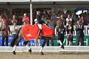 A lovak legdrágább fajtáinak minősítése A lovak legdrágább fajtáinak minősítése