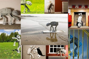 Robotok állatok háziállatként háziállatok