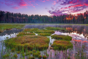 Top 10 oroszország legnagyobb swamps: térkép, lista, rövid leírás és videó