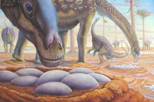 A tudósok meghatározzák a dinoszaurusz testhőmérsékletét: a tojáshéj segített