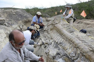 A világ minden tájáról érkező tudósok a vologda dinoszauruszok maradványaira keresik