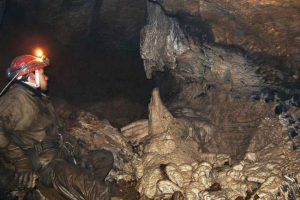 Négy új típusú állat található az altai barlangban