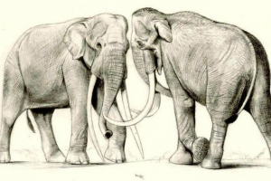 Perm találta meg a gyapjas mamut őseinek maradványait