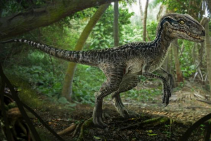 Velociraptor